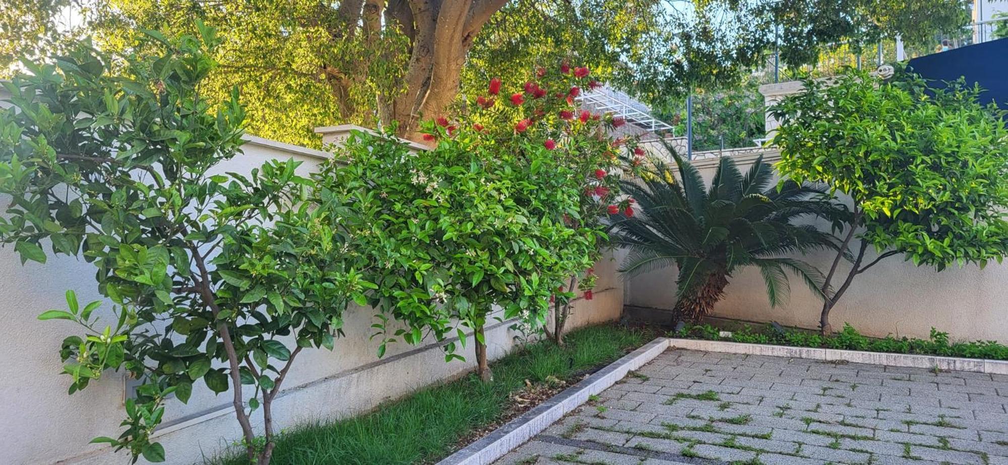Apartments Villa Alba 杜布罗夫尼克 外观 照片